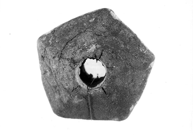 fuseruola pentagonale